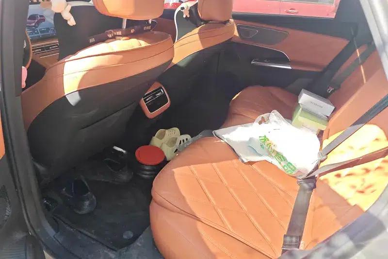 Fengyun A9L 2025 Model 260km Extended Range Premium Edition — миниатюра 15