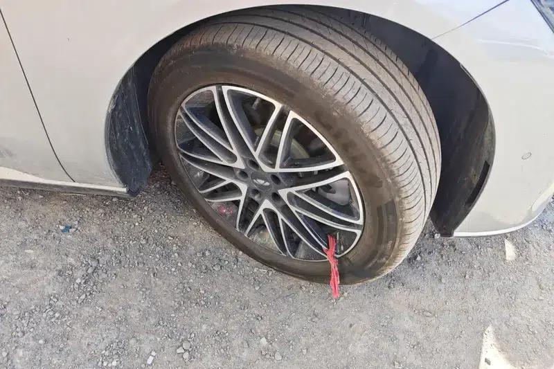 Fengyun A9L 2025 Model 260km Extended Range Premium Edition — миниатюра 9