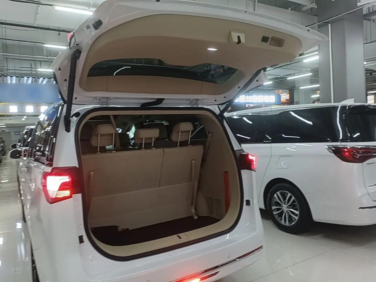 Buick GL8 New Energy 2025 Lu Shang Luxury Edition 7-Seater — миниатюра 22