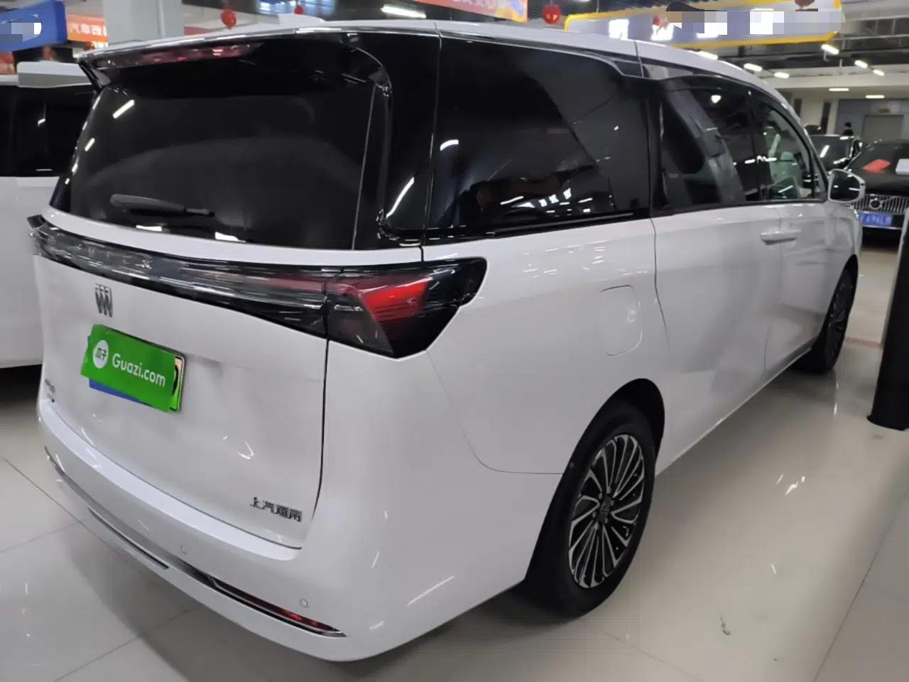 Buick GL8 New Energy 2025 Lu Shang Luxury Edition 7-Seater — миниатюра 6