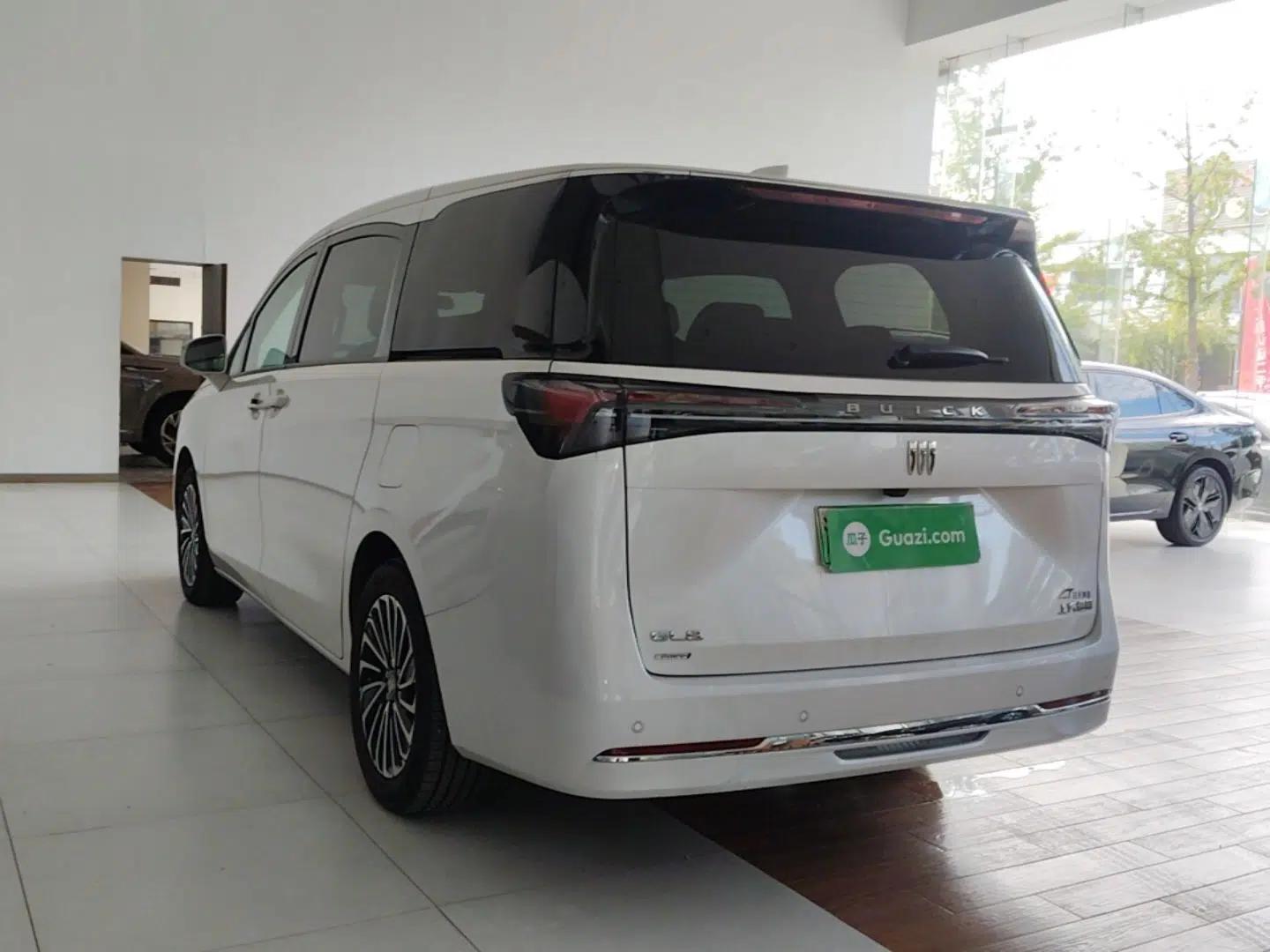 Buick GL8 New Energy 2025 Lu Shang Luxury Edition 7-Seater — миниатюра 4