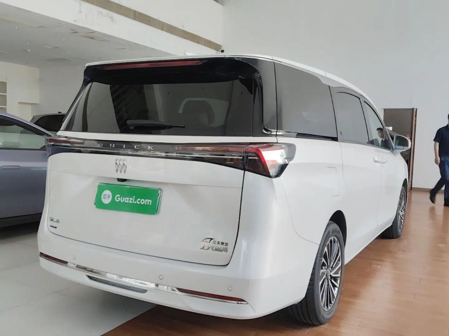 Buick GL8 New Energy 2025 Lu Shang Luxury Edition 7-Seater — миниатюра 6