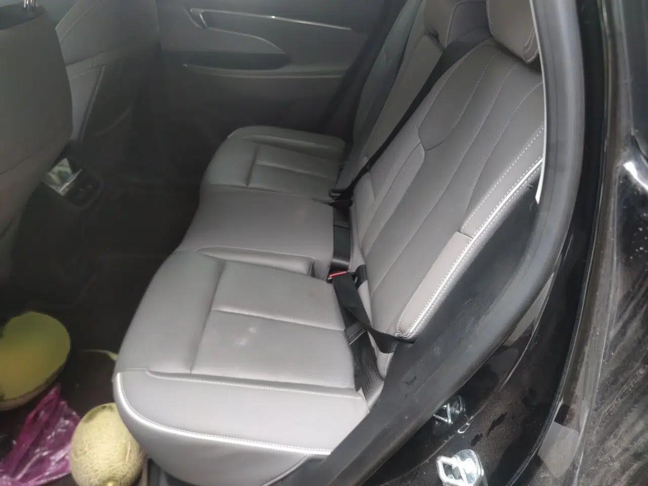 Buick E5 2023 Zhenxiang Standard Range Edition — миниатюра 20