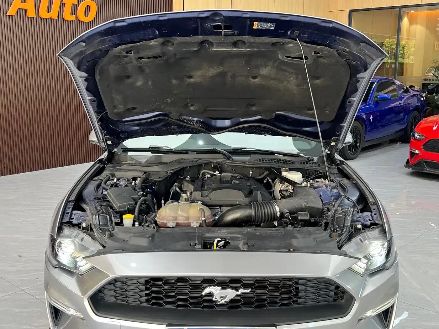 2019 Mustang 2.3L EcoBoost — миниатюра 33