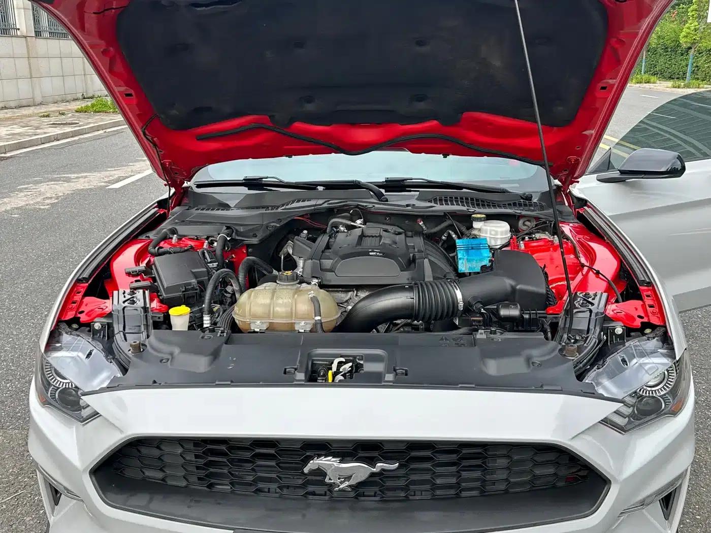 2017 Mustang 2.3T Performance Edition — миниатюра 15