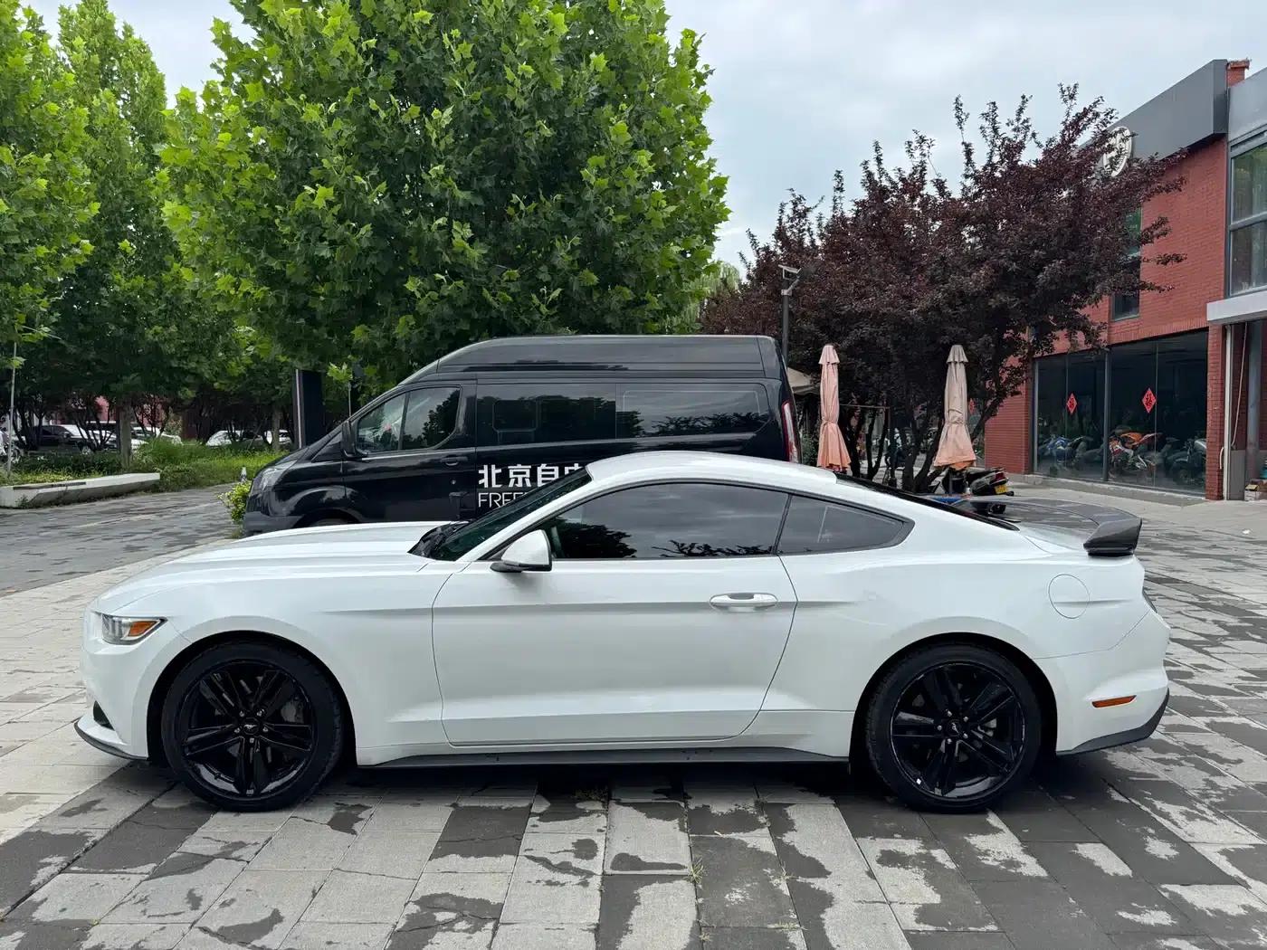 2016 Mustang 2.3T Performance Edition — миниатюра 15