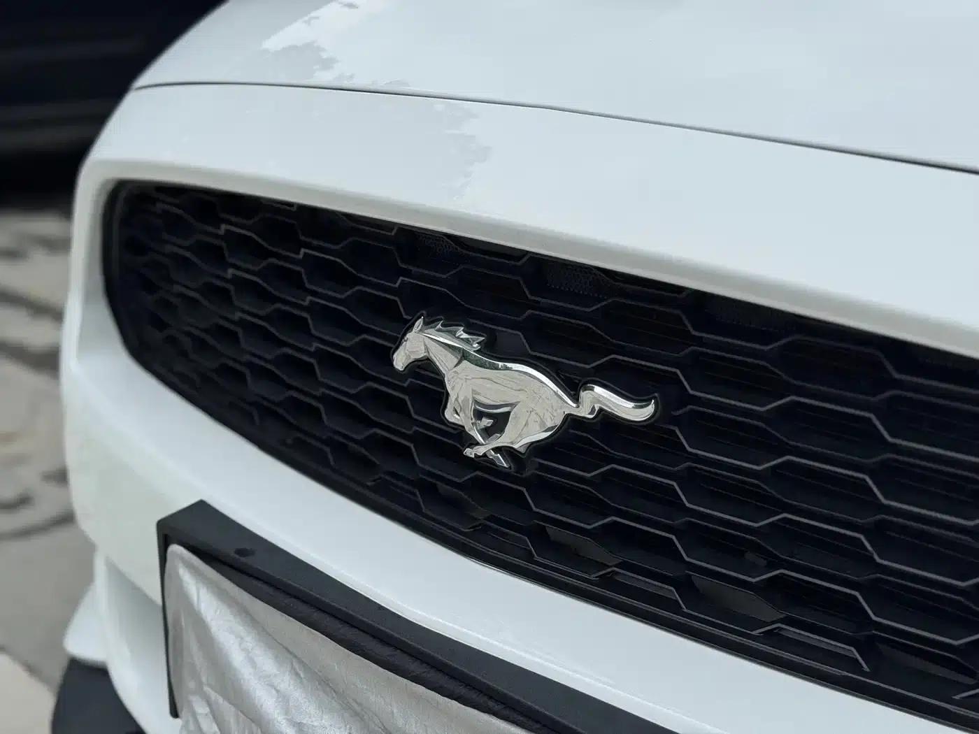 2016 Mustang 2.3T Performance Edition — миниатюра 5
