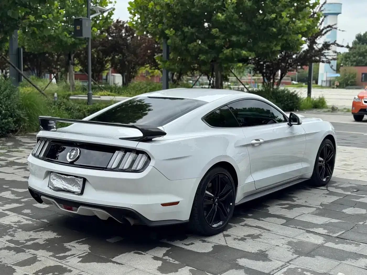 2016 Mustang 2.3T Performance Edition — миниатюра 6