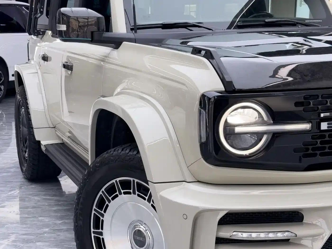 Ford Sharp 2025 Mansori P520 — миниатюра 15