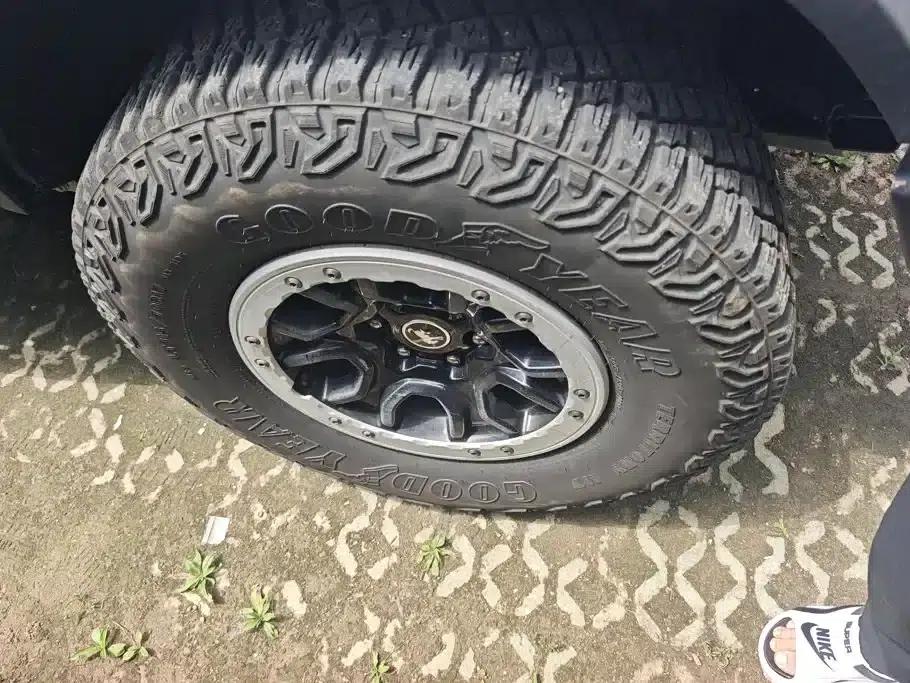 Ford Spectacular 2024 2.3T Wasteland — миниатюра 6