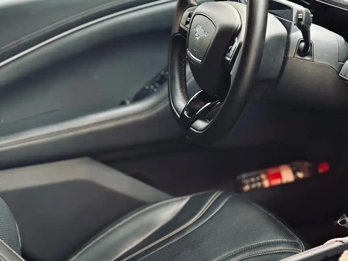 Ford Electric GT First Edition 2021 — миниатюра 9