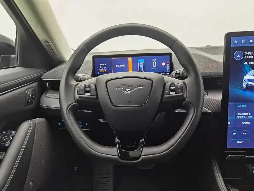 Ford eCar 2021 Model X Unlimited Rear-Wheel Drive Luxury Edition (Long Range) — миниатюра 11