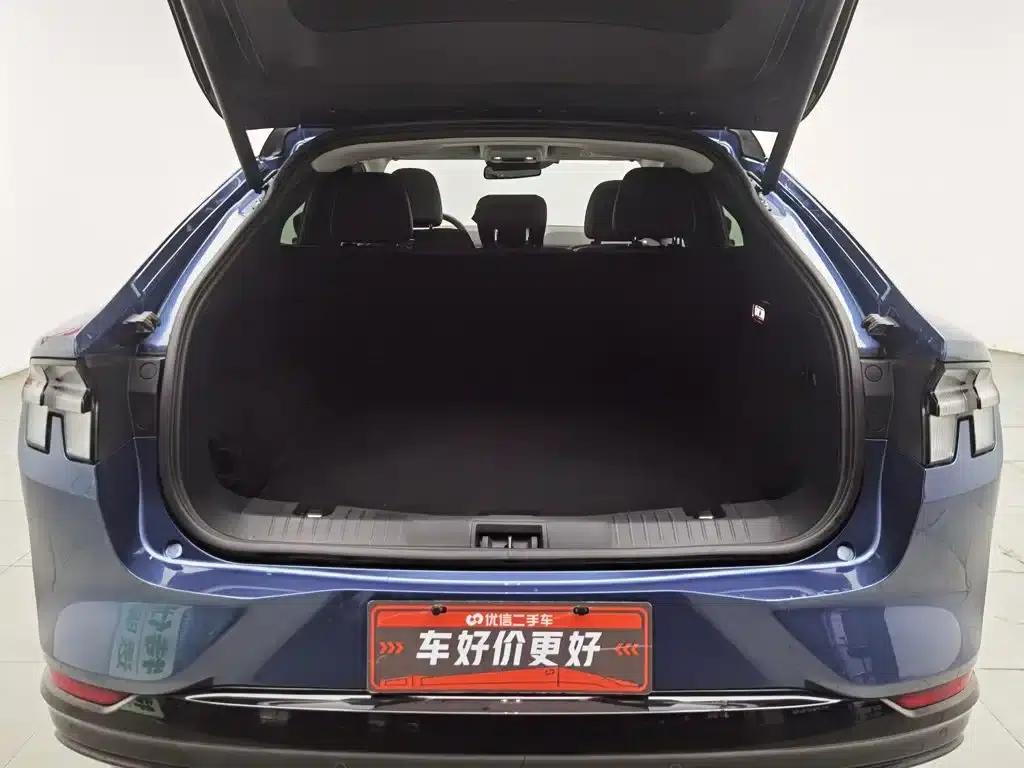 Ford eCar 2021 Model X Unlimited Rear-Wheel Drive Luxury Edition (Long Range) — миниатюра 16