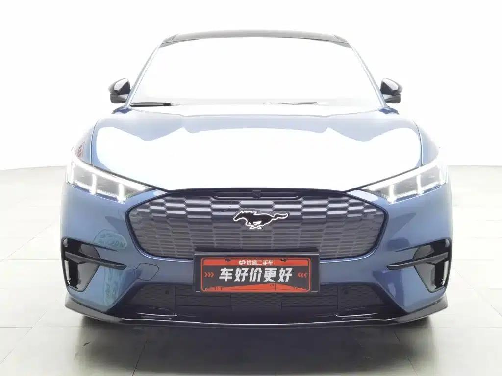 Ford eCar 2021 Model X Unlimited Rear-Wheel Drive Luxury Edition (Long Range) — миниатюра 3