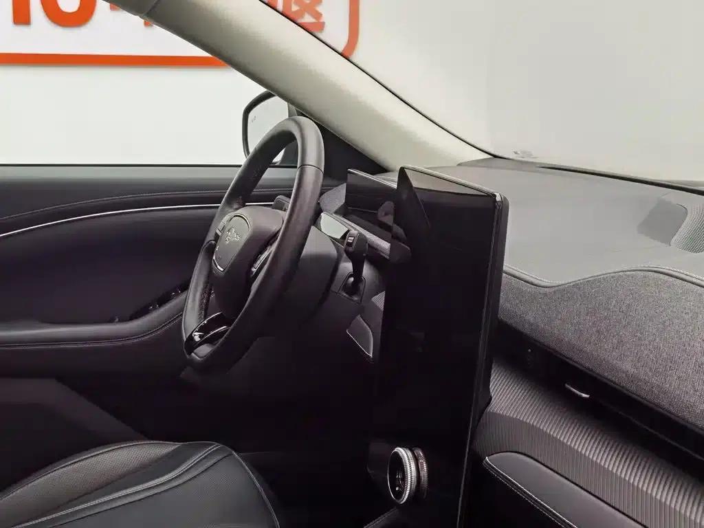 Ford eCar 2021 Model X Unlimited Rear-Wheel Drive Luxury Edition (Long Range) — миниатюра 22