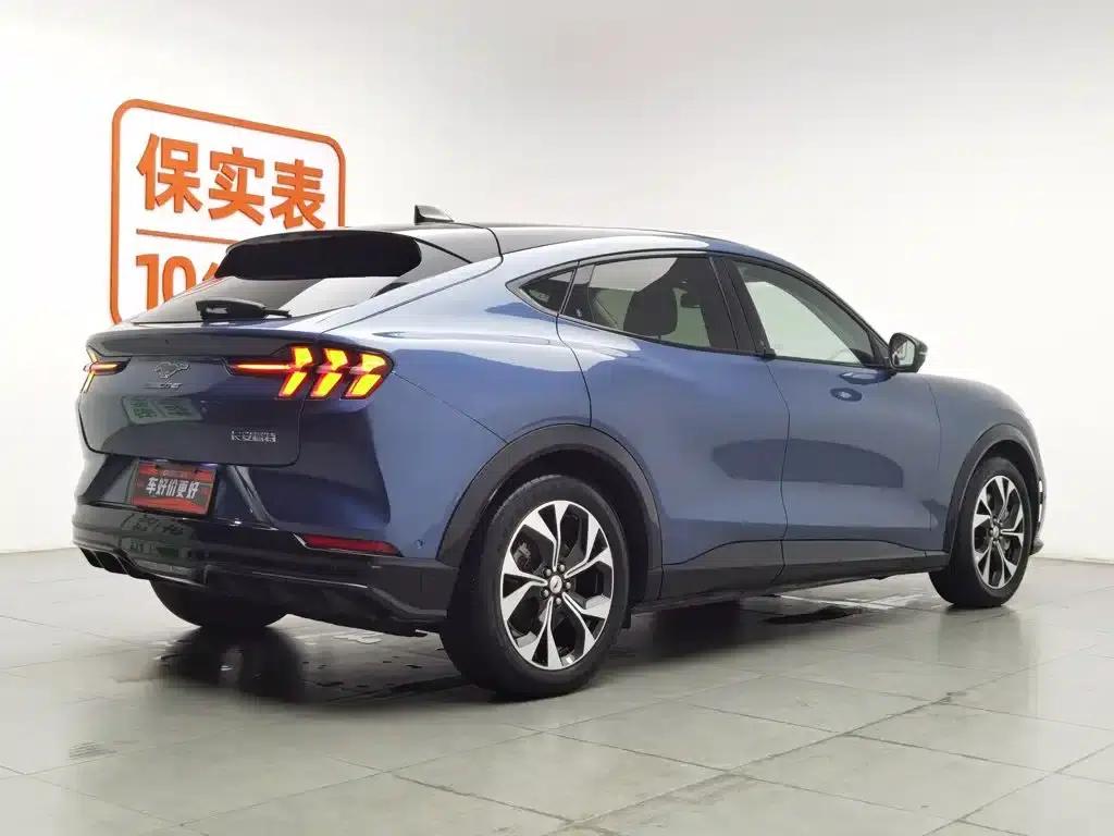 Ford e31 2021 Model X Unlimited Rear-Wheel Drive Luxury Edition Long Range — миниатюра 2