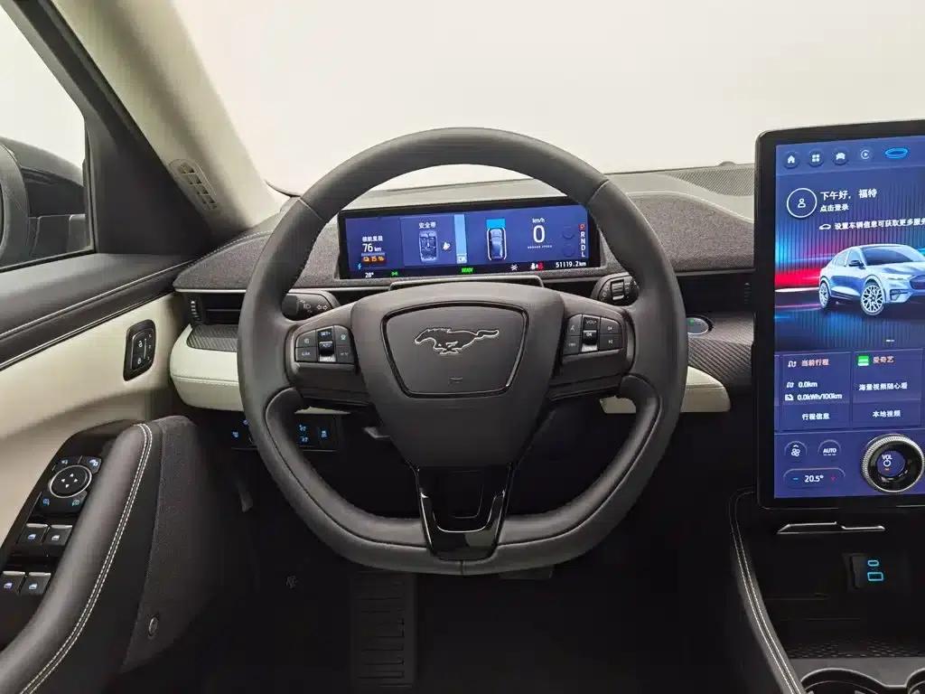 Ford e31 2021 Model X Unlimited Rear-Wheel Drive Luxury Edition Long Range — миниатюра 11