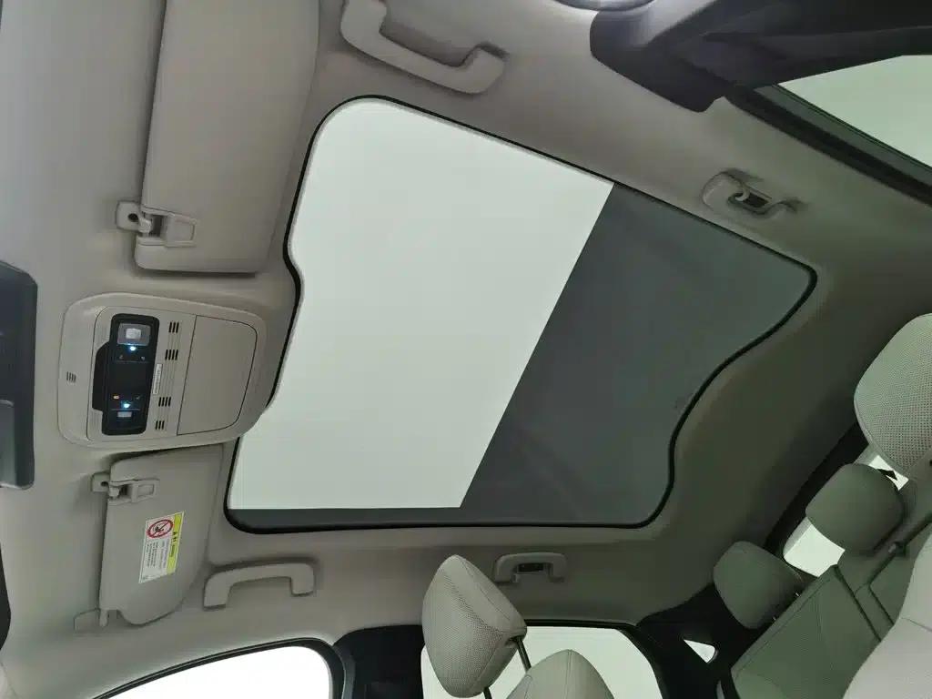 Ford e31 2021 Model X Unlimited Rear-Wheel Drive Luxury Edition Long Range — миниатюра 14