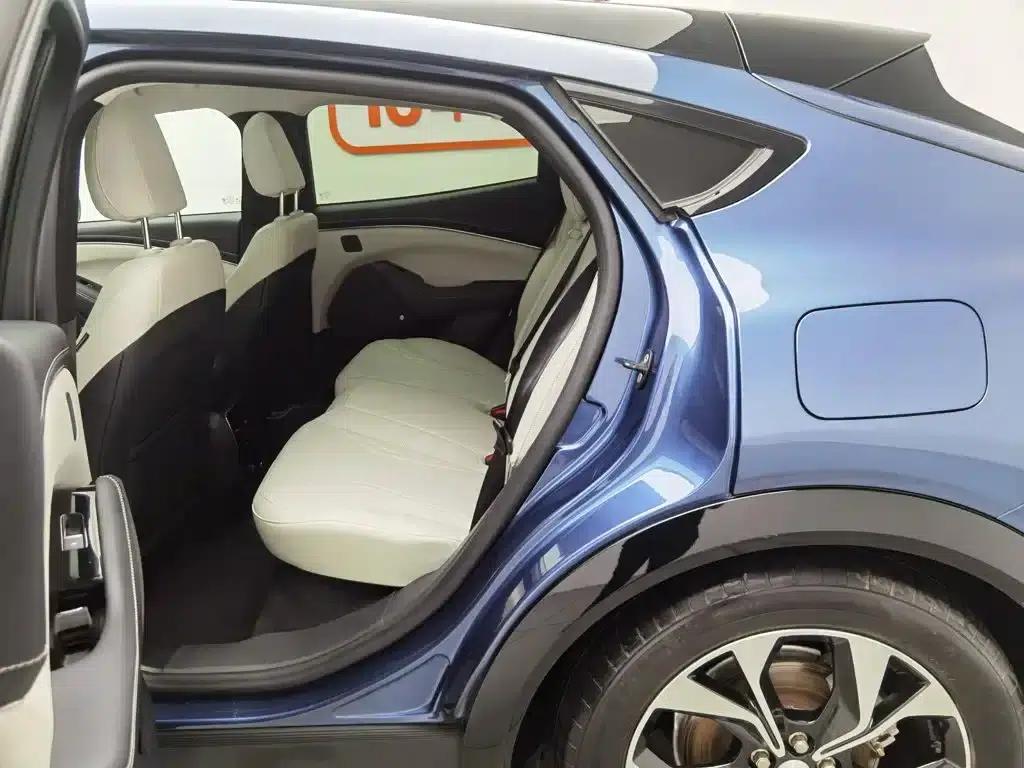 Ford e31 2021 Model X Unlimited Rear-Wheel Drive Luxury Edition Long Range — миниатюра 15