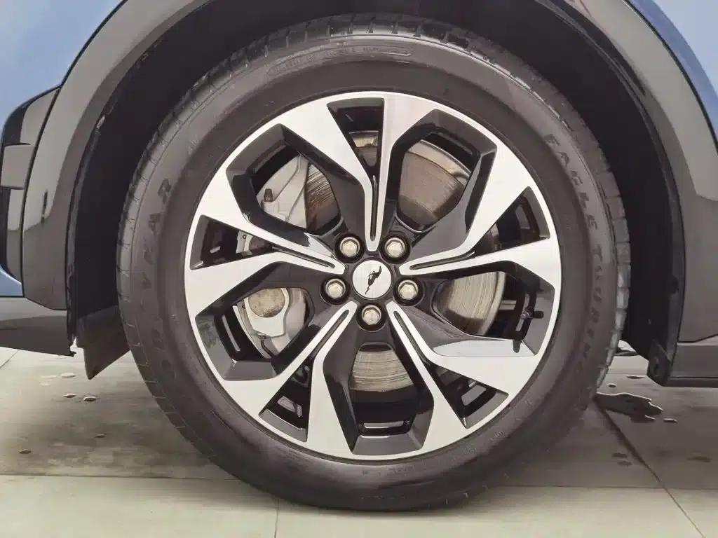 Ford e31 2021 Model X Unlimited Rear-Wheel Drive Luxury Edition Long Range — миниатюра 17