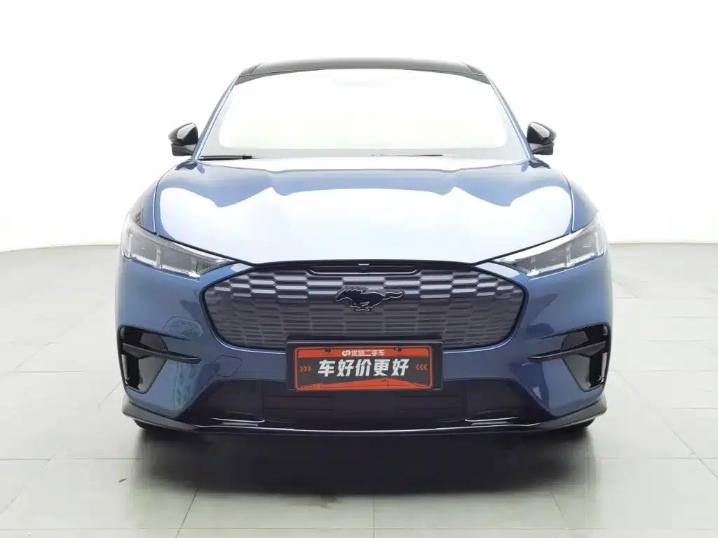 Ford e31 2021 Model X Unlimited Rear-Wheel Drive Luxury Edition Long Range — миниатюра 3