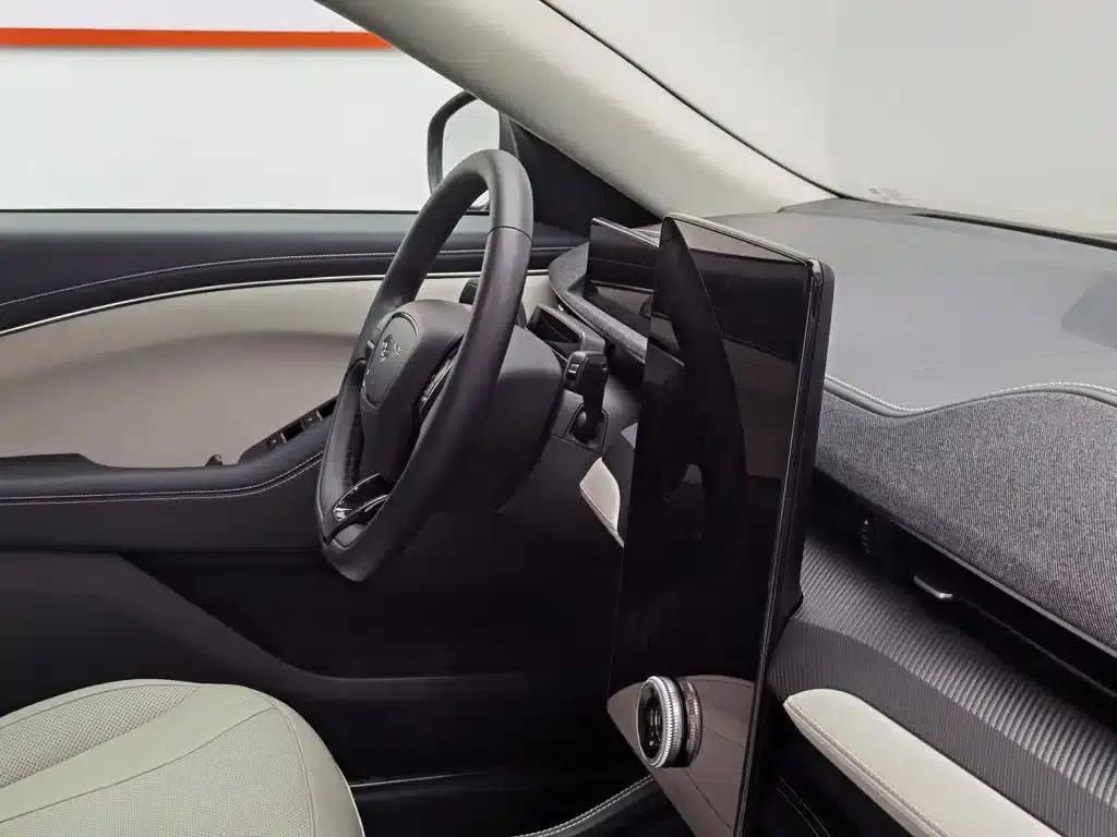 Ford e31 2021 Model X Unlimited Rear-Wheel Drive Luxury Edition Long Range — миниатюра 22