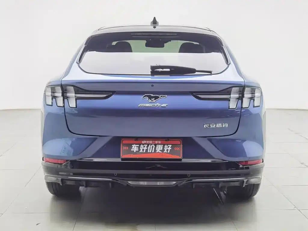 Ford e31 2021 Model X Unlimited Rear-Wheel Drive Luxury Edition Long Range — миниатюра 4