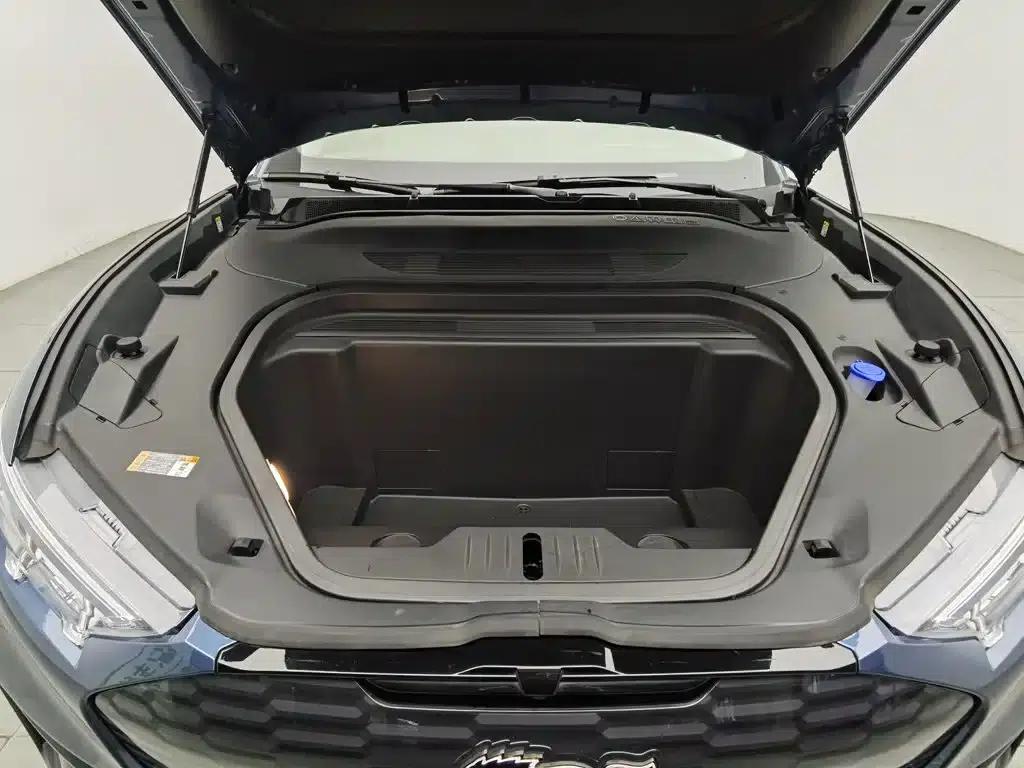 Ford e31 2021 Model X Unlimited Rear-Wheel Drive Luxury Edition Long Range — миниатюра 6