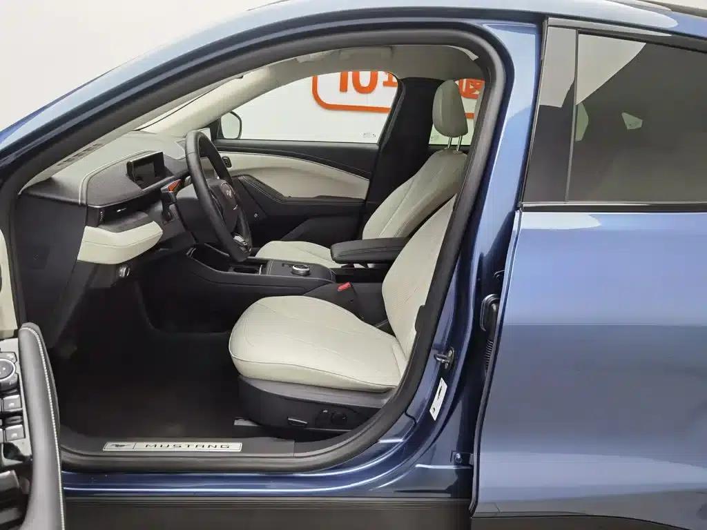 Ford e31 2021 Model X Unlimited Rear-Wheel Drive Luxury Edition Long Range — миниатюра 10