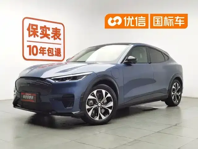 Ford e31 2021 Model X Unlimited Rear-Wheel Drive Luxury Edition Long Range