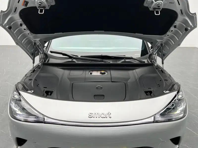 Smart Sprite #1 2022 Premium — миниатюра 10