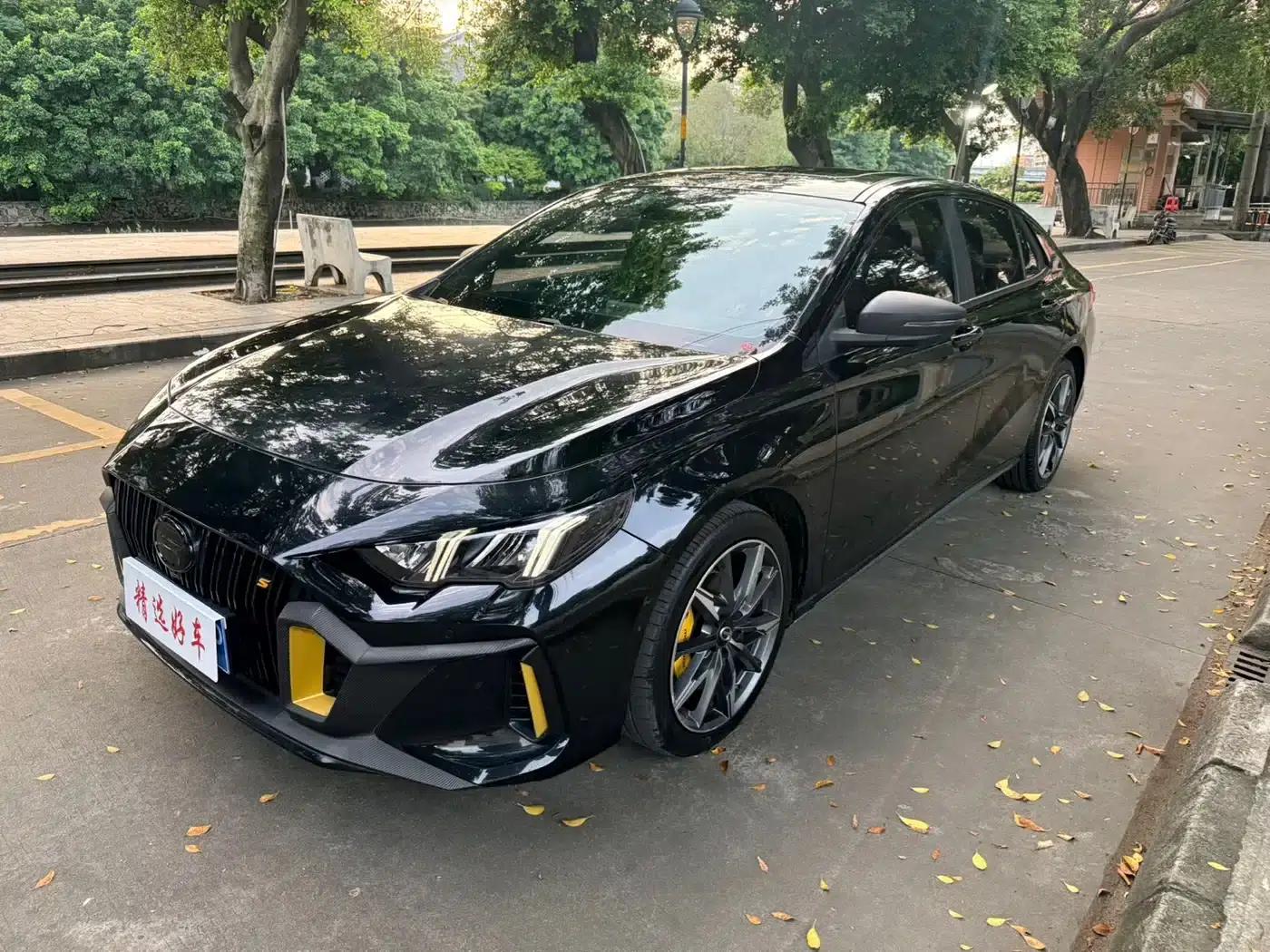 Shadow Leopard 2023 270T DCT J15 Edition — миниатюра 1
