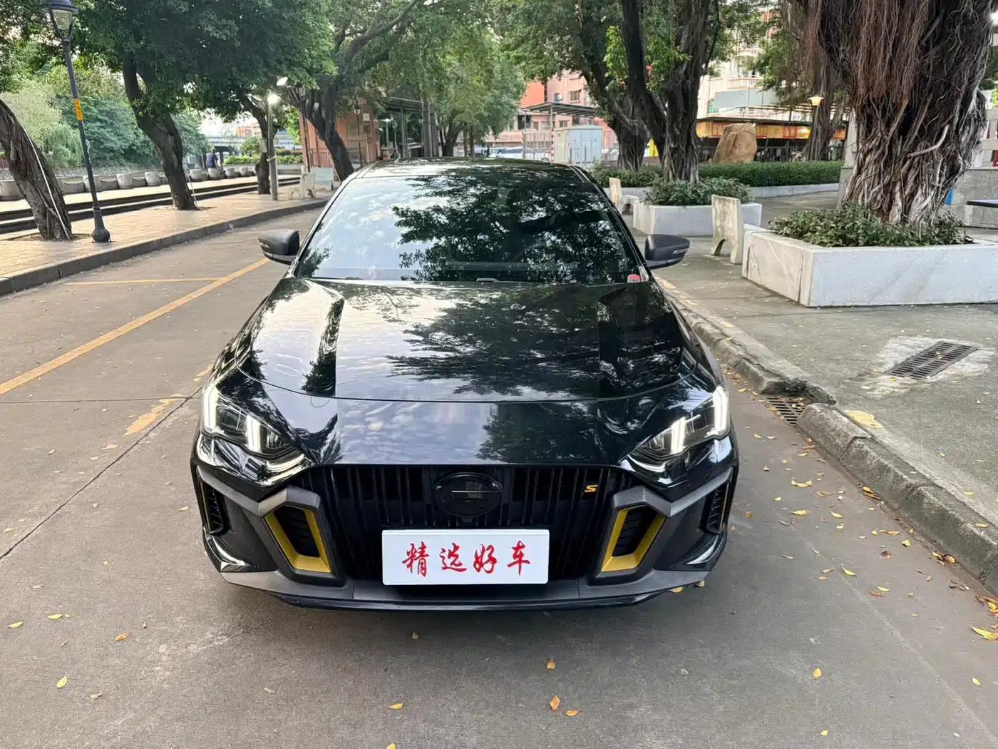 Shadow Leopard 2023 270T DCT J15 Edition — миниатюра 2