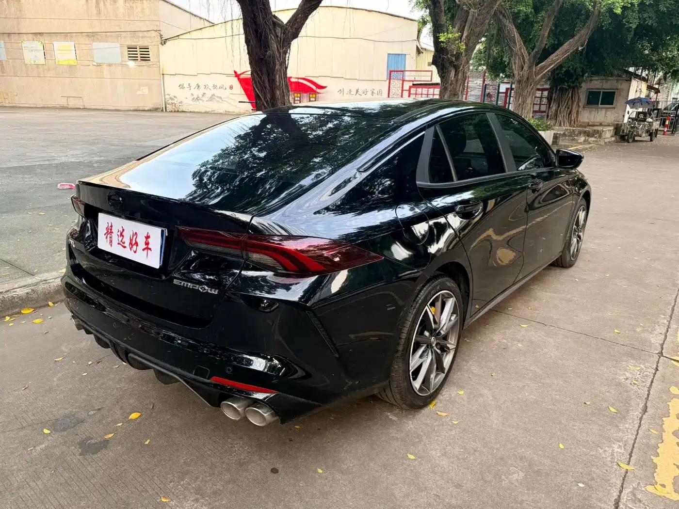 Shadow Leopard 2023 270T DCT J15 Edition — миниатюра 6