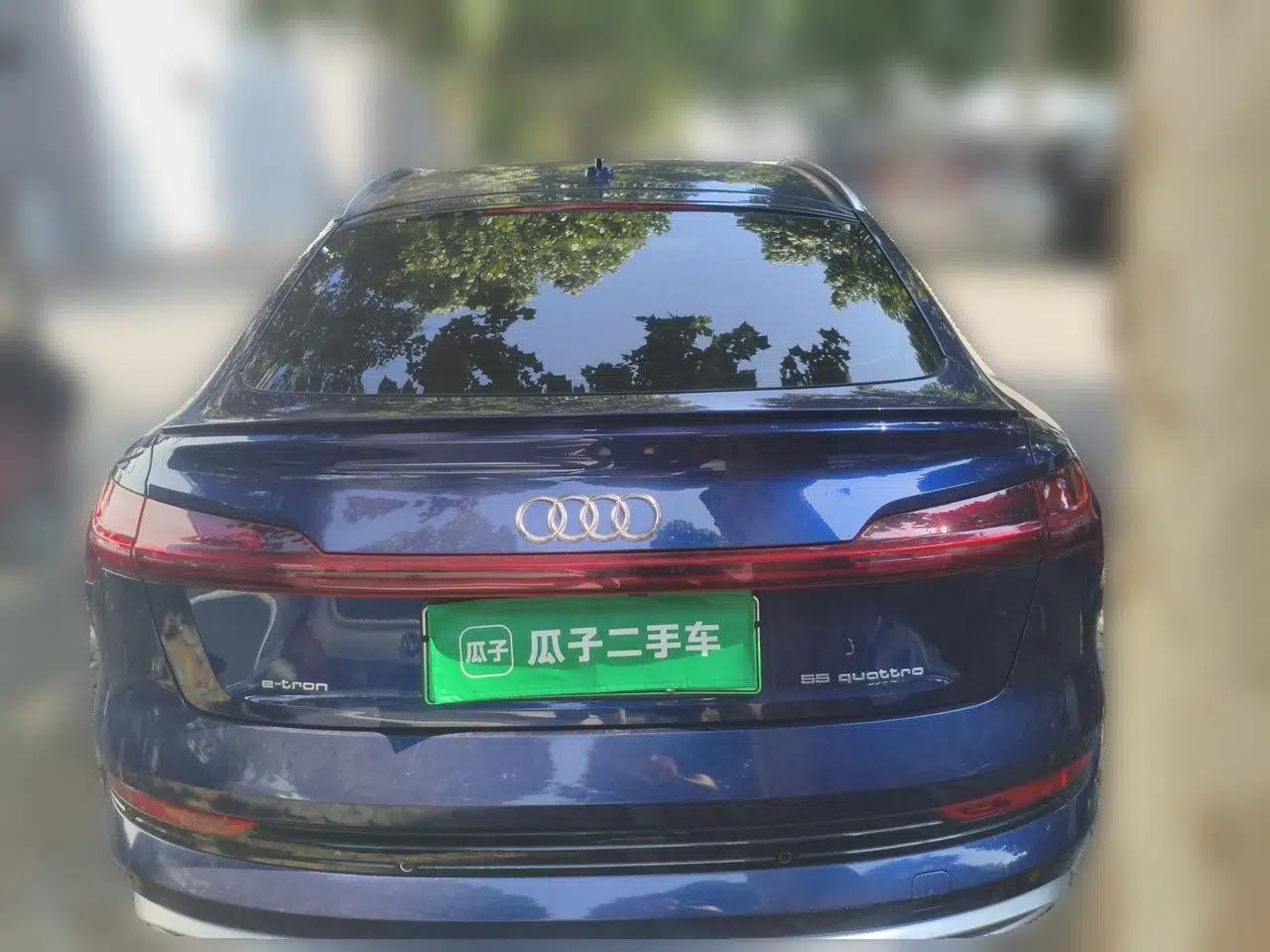 Audi e-tron 2021 Sportback 55 quattro Luxury Edition — миниатюра 5