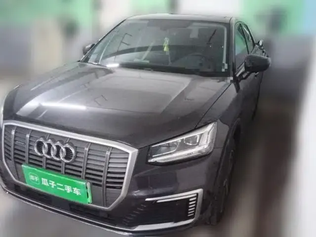 Audi Q2L e-tron 2019 Q2L e-tron Pure Electric Smart Enjoyment Model
