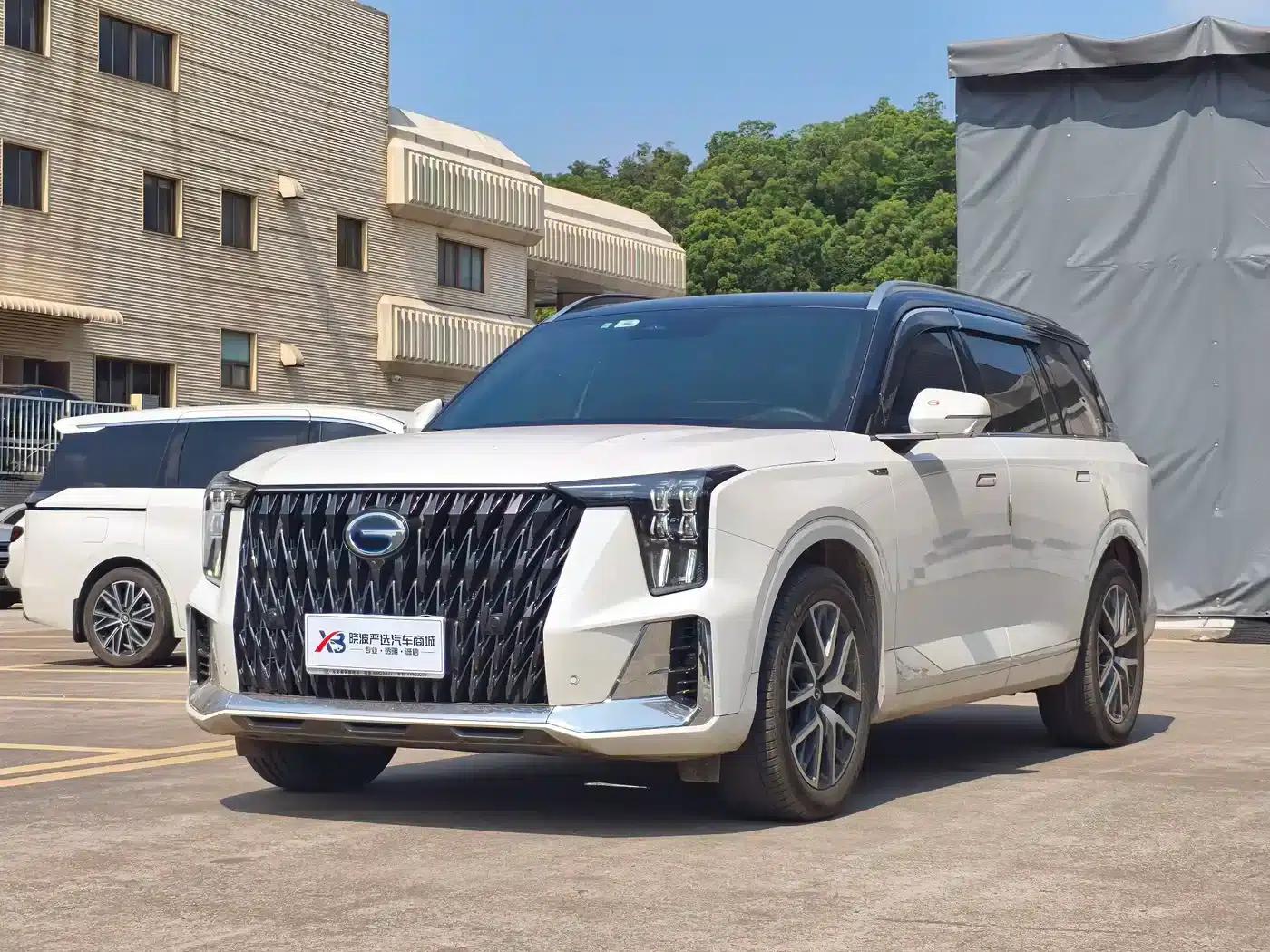 Trumpchi GS8 2024 Hybrid Series 2.0TM Two-Wheel Drive Premium Edition — миниатюра 1