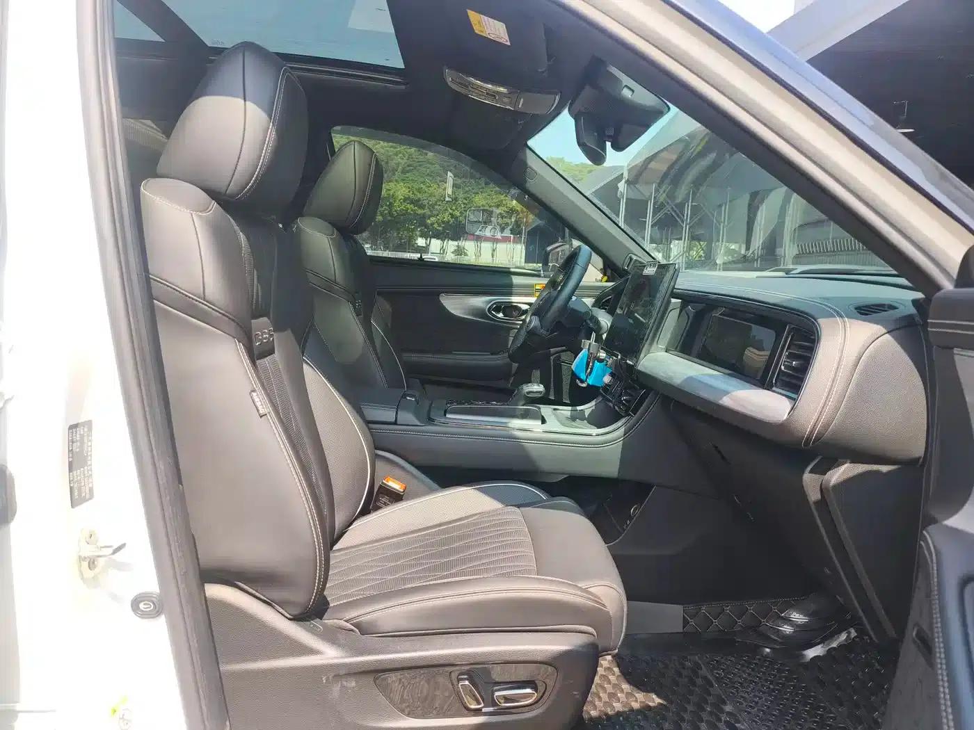 Trumpchi GS8 2024 Hybrid Series 2.0TM Two-Wheel Drive Premium Edition — миниатюра 14