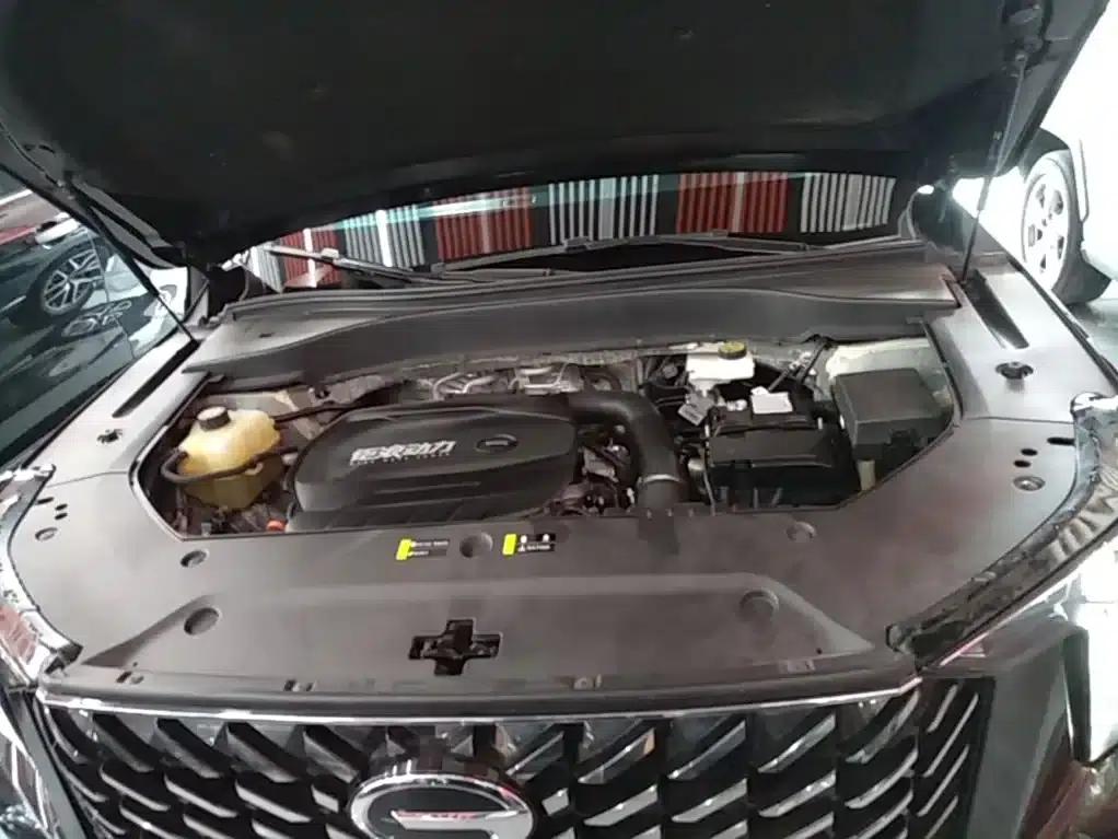 Trumpchi GS8 2022 Navigator Series 2.0TGDI 2WD Luxury Intelligent Connected Edition (7-seater) — миниатюра 20