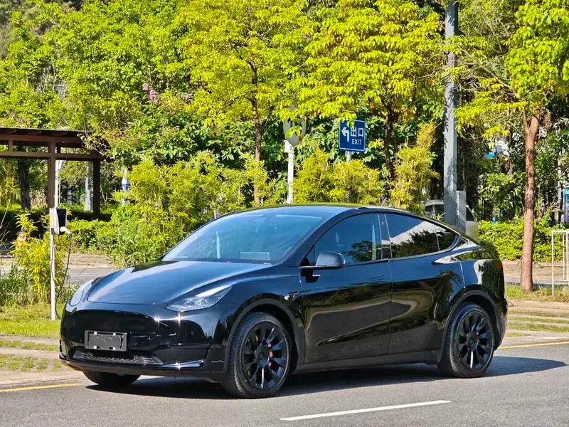 Model Y 2022 Rear-Wheel Drive — миниатюра 1