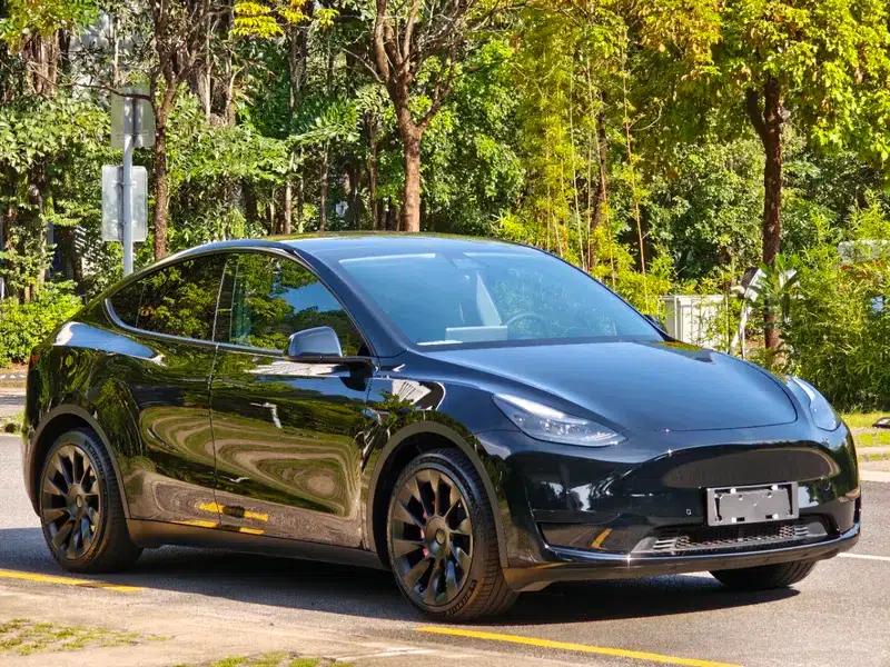 Model Y 2022 Rear-Wheel Drive — миниатюра 3