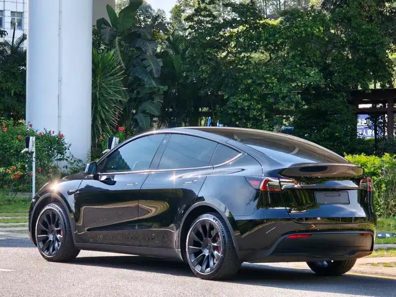 Model Y 2022 Rear-Wheel Drive — миниатюра 5