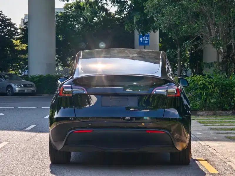 Model Y 2022 Rear-Wheel Drive — миниатюра 6