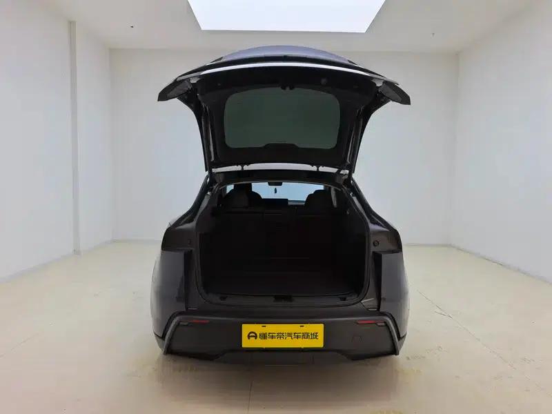 Model Y 2025 Long Range All-Wheel Drive First Edition — миниатюра 20
