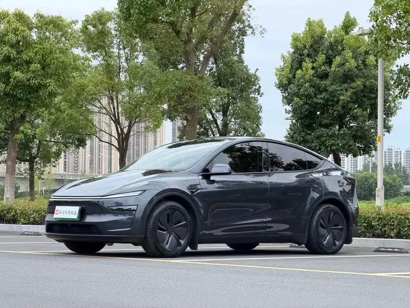 Model Y 2025 Long Range All-Wheel Drive First Edition — миниатюра 1