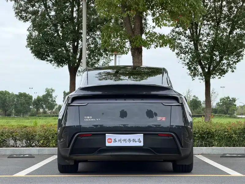 Model Y 2025 Long Range All-Wheel Drive First Edition — миниатюра 5