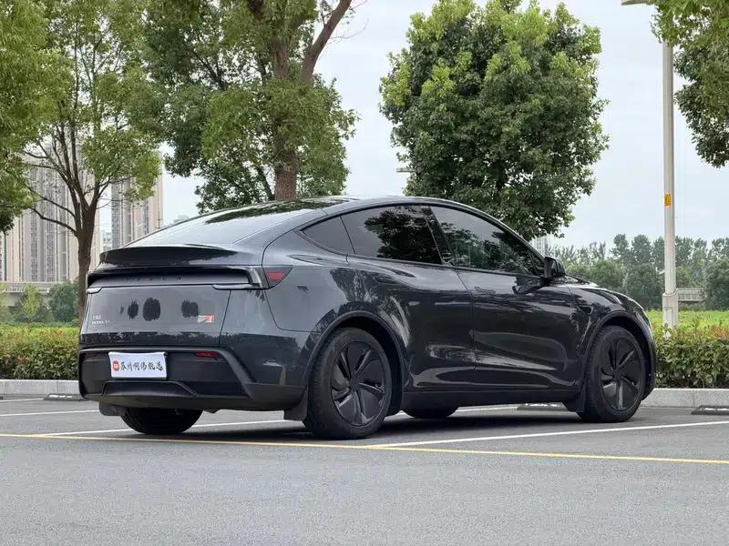 Model Y 2025 Long Range All-Wheel Drive First Edition — миниатюра 6
