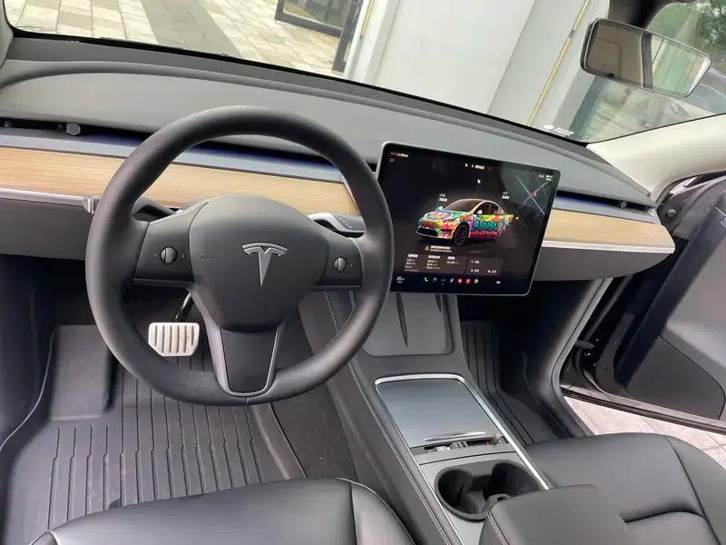 Model Y 2022 Performance All-Wheel Drive — миниатюра 13