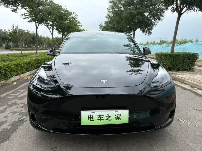 Model Y 2023 Rear-Wheel Drive — миниатюра 2