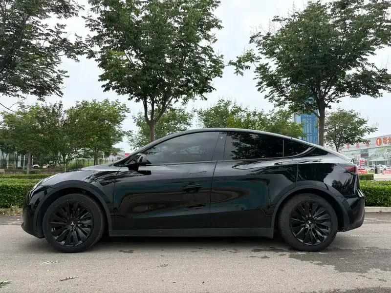 Model Y 2023 Rear-Wheel Drive — миниатюра 4